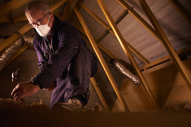 Best Types of Insulation in Eutaw, AL